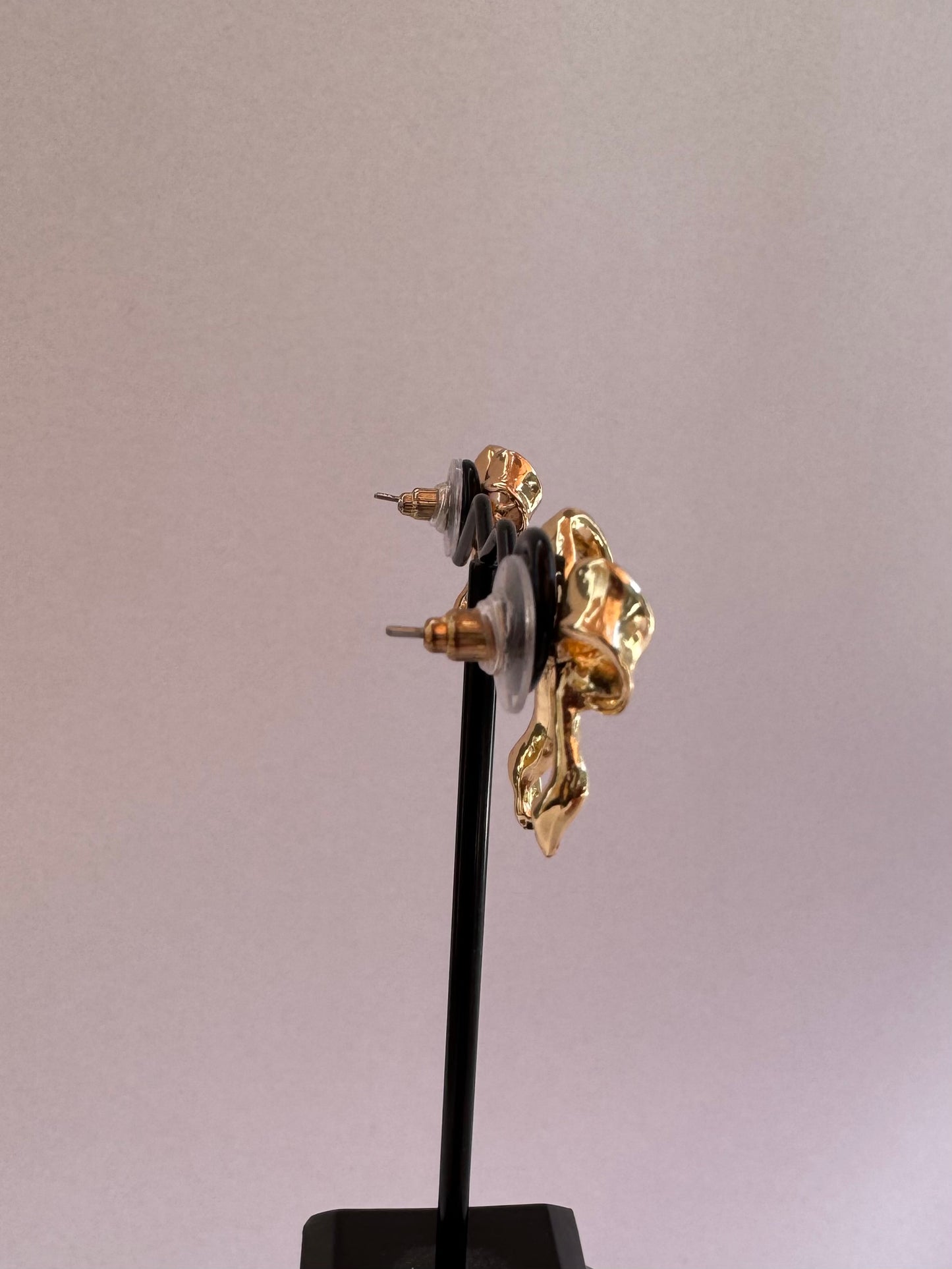 Aros lazo