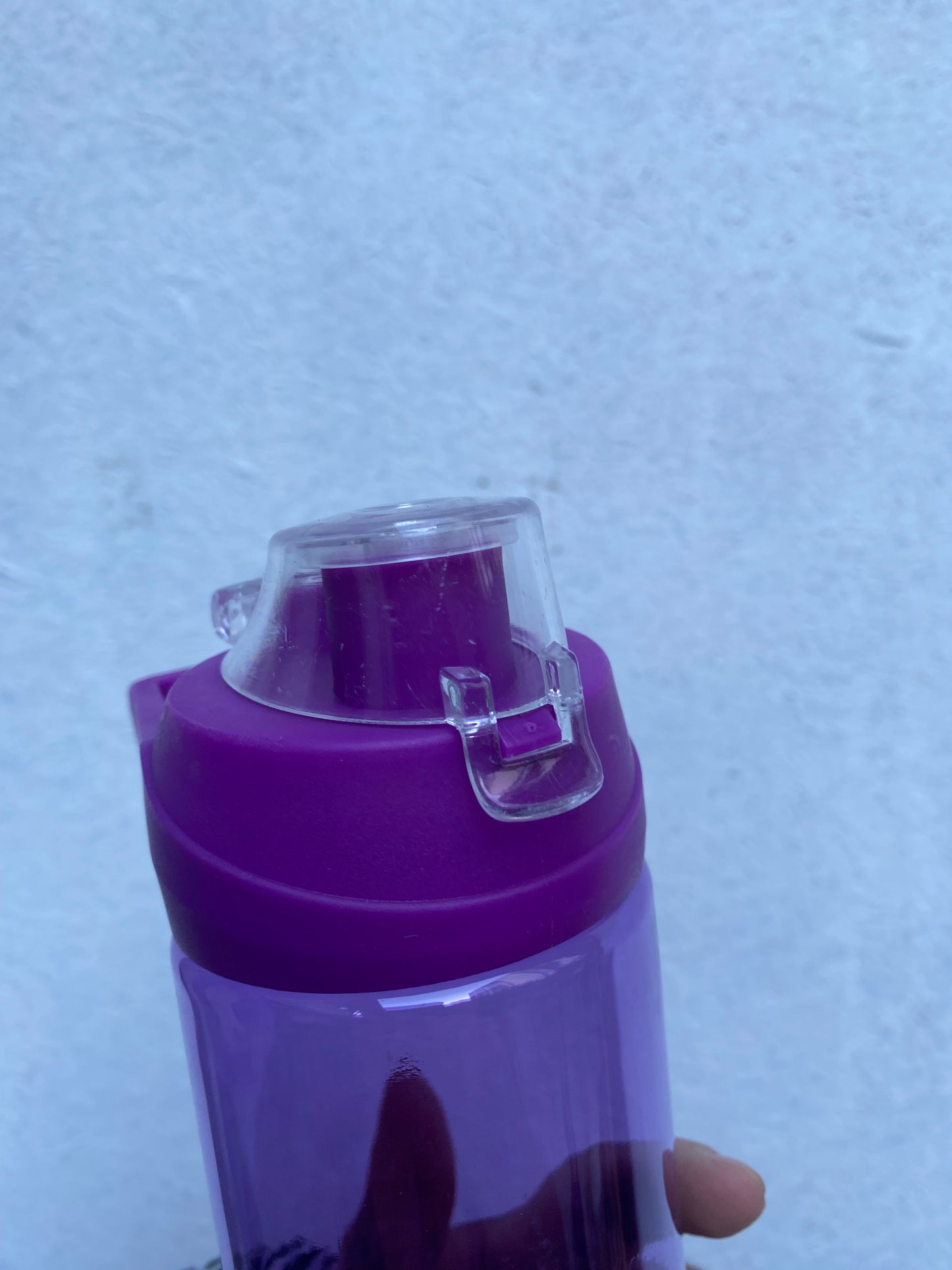 Botella 700ml