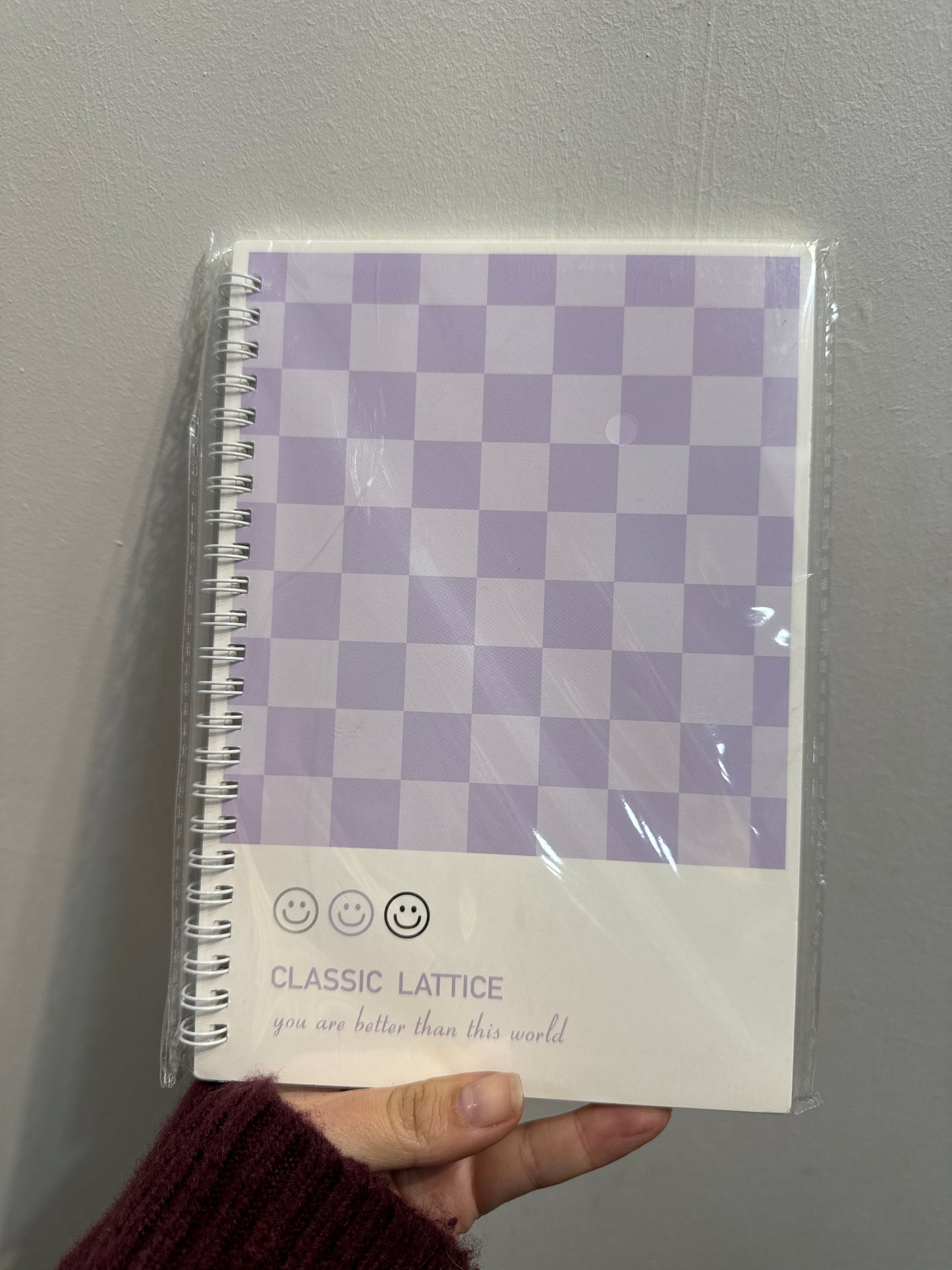 CUADERNO ESPIRAL CUADRICULADO