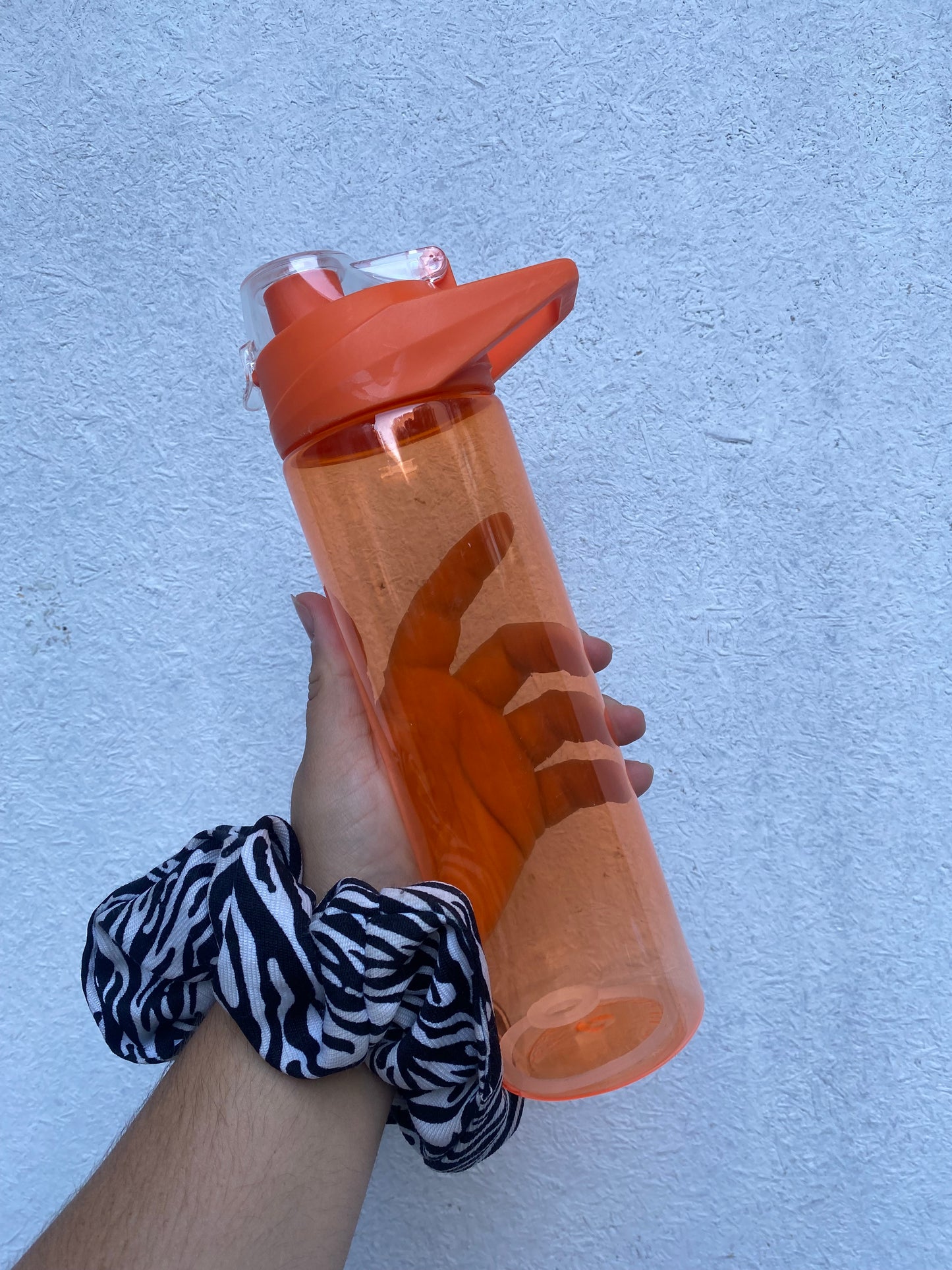 Botella 700ml