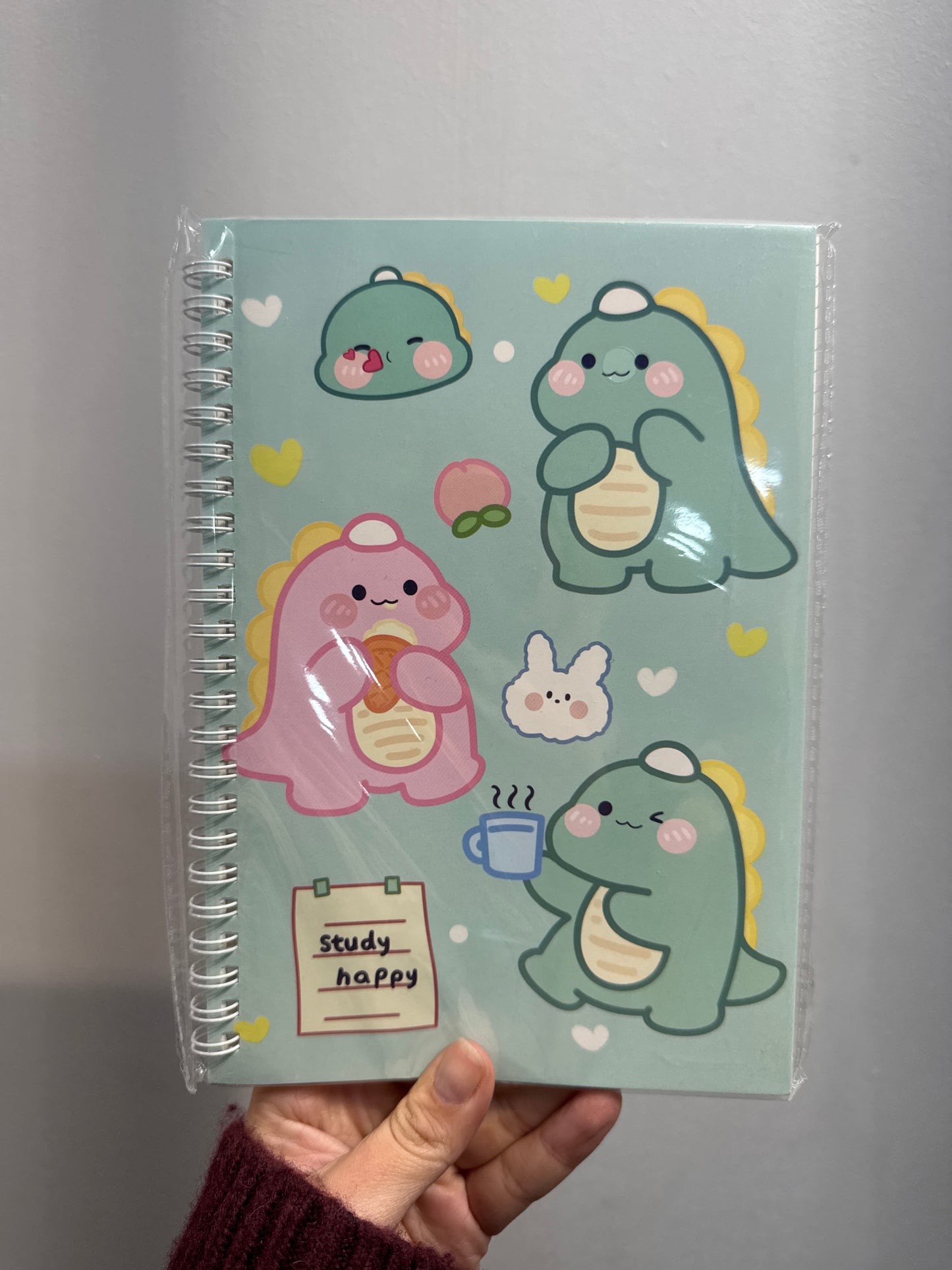 CUADERNO ESPIRAL INFANTIL