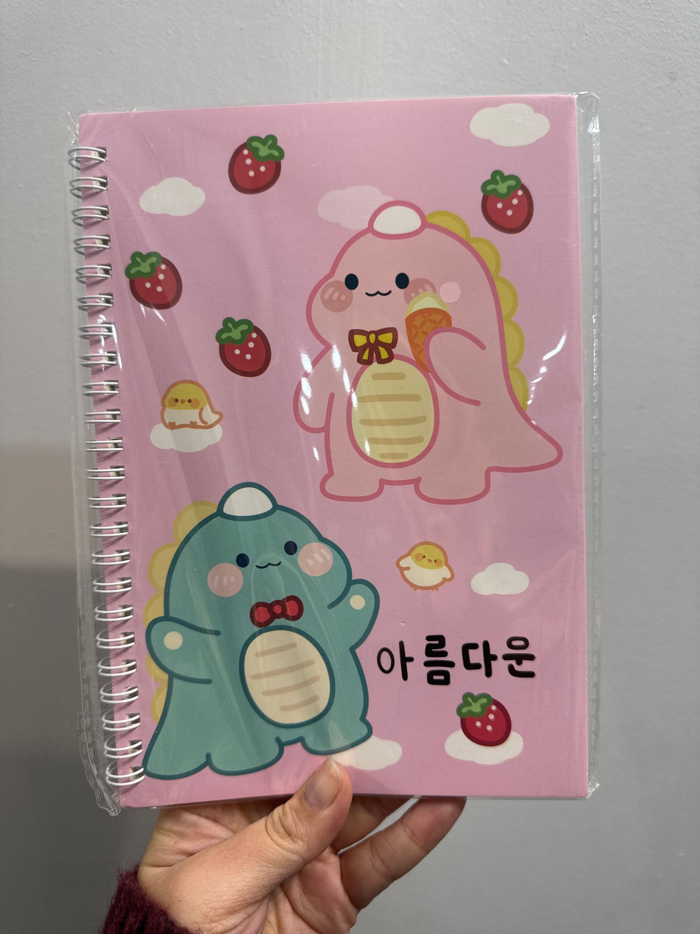 CUADERNO ESPIRAL INFANTIL