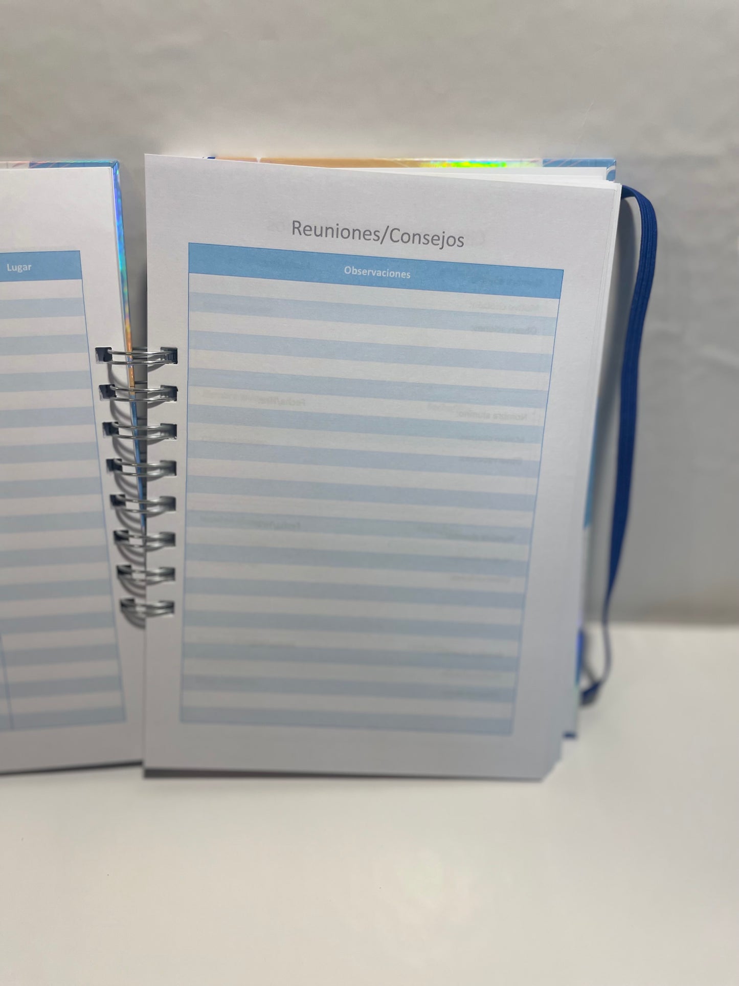 Planner Profesor