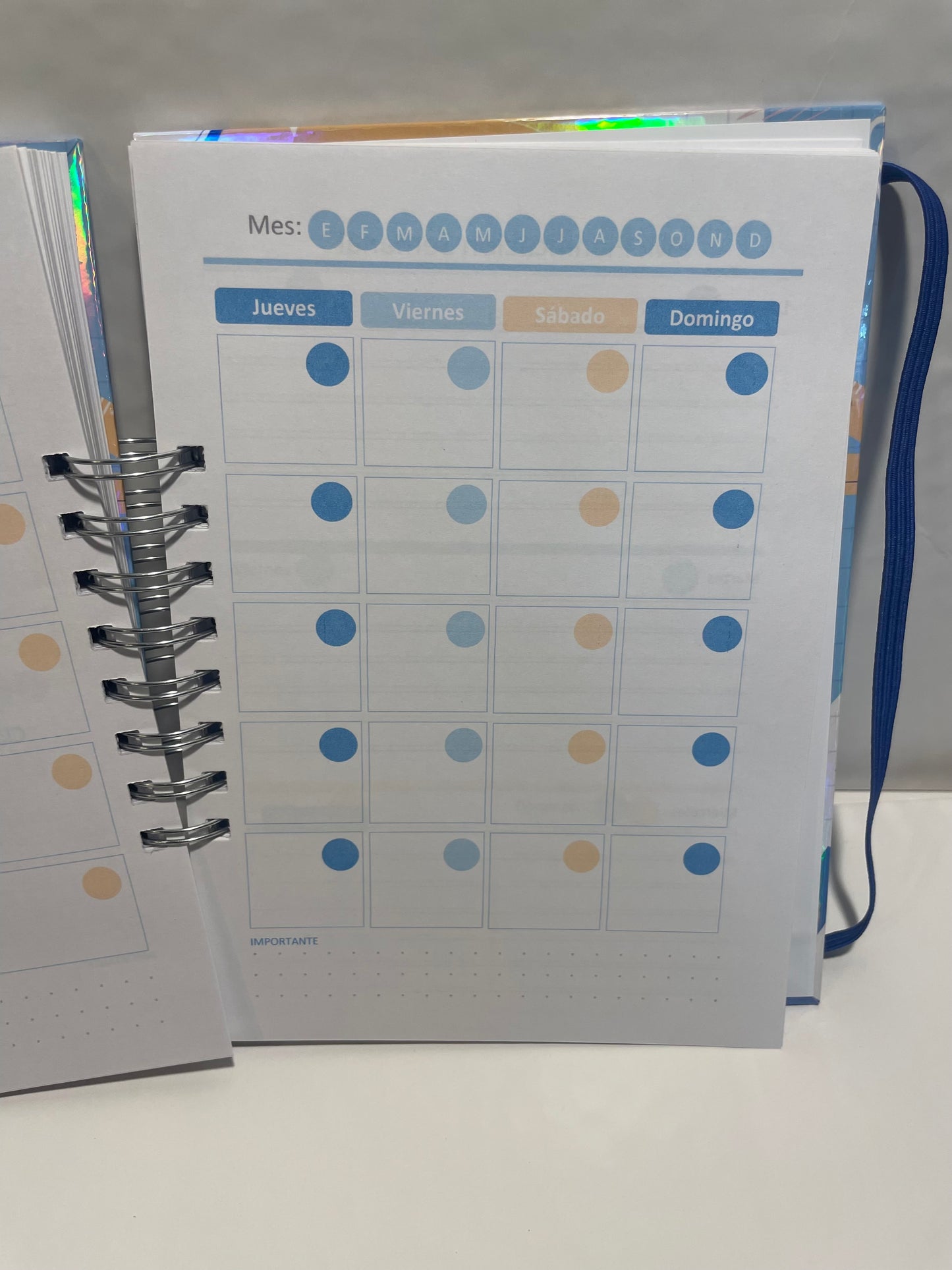 Planner Profesor