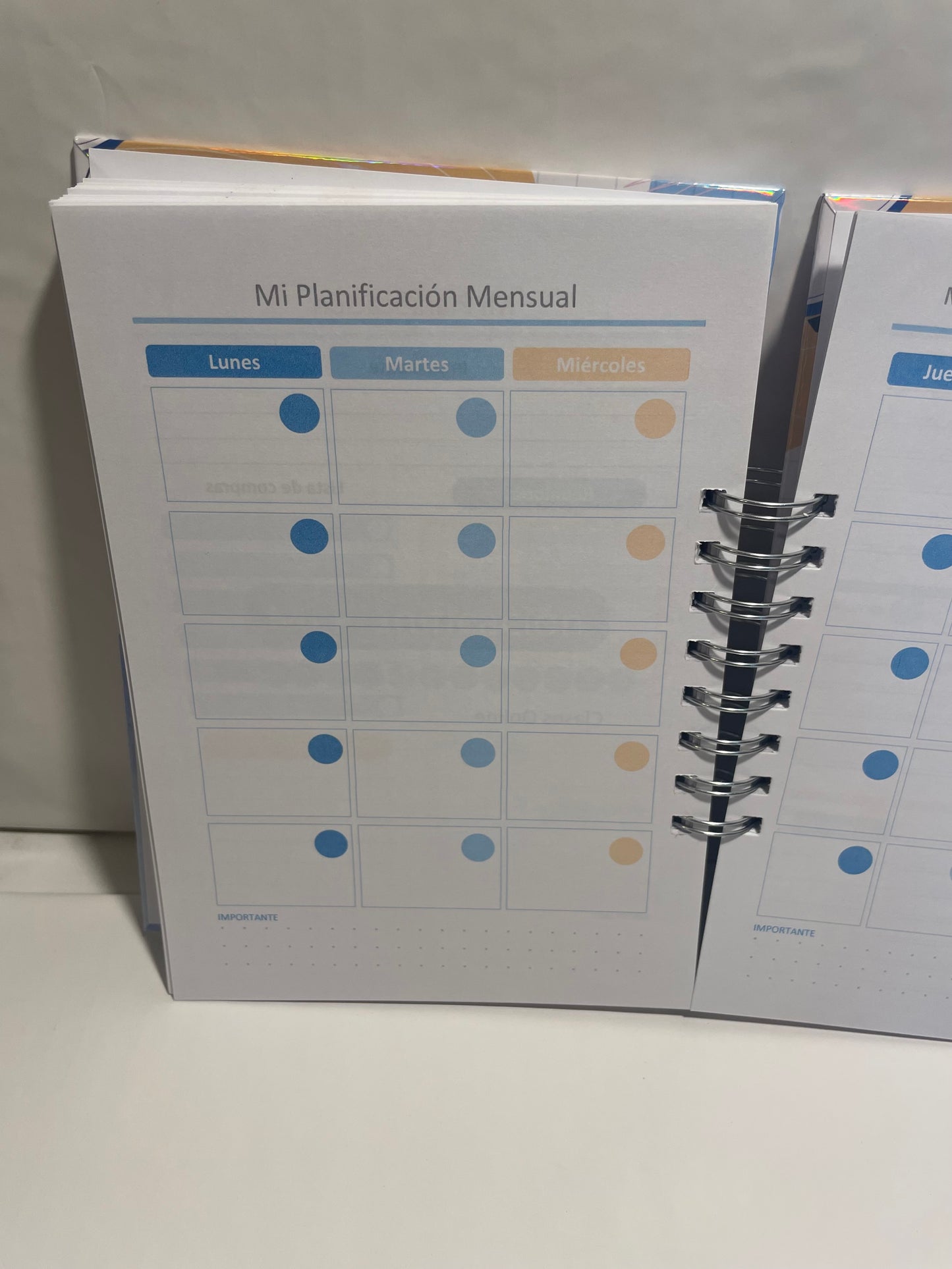 Planner Profesor