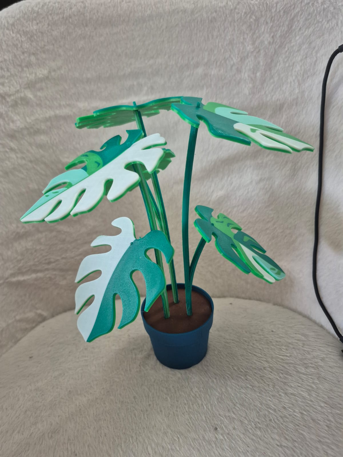 Monstera variegada