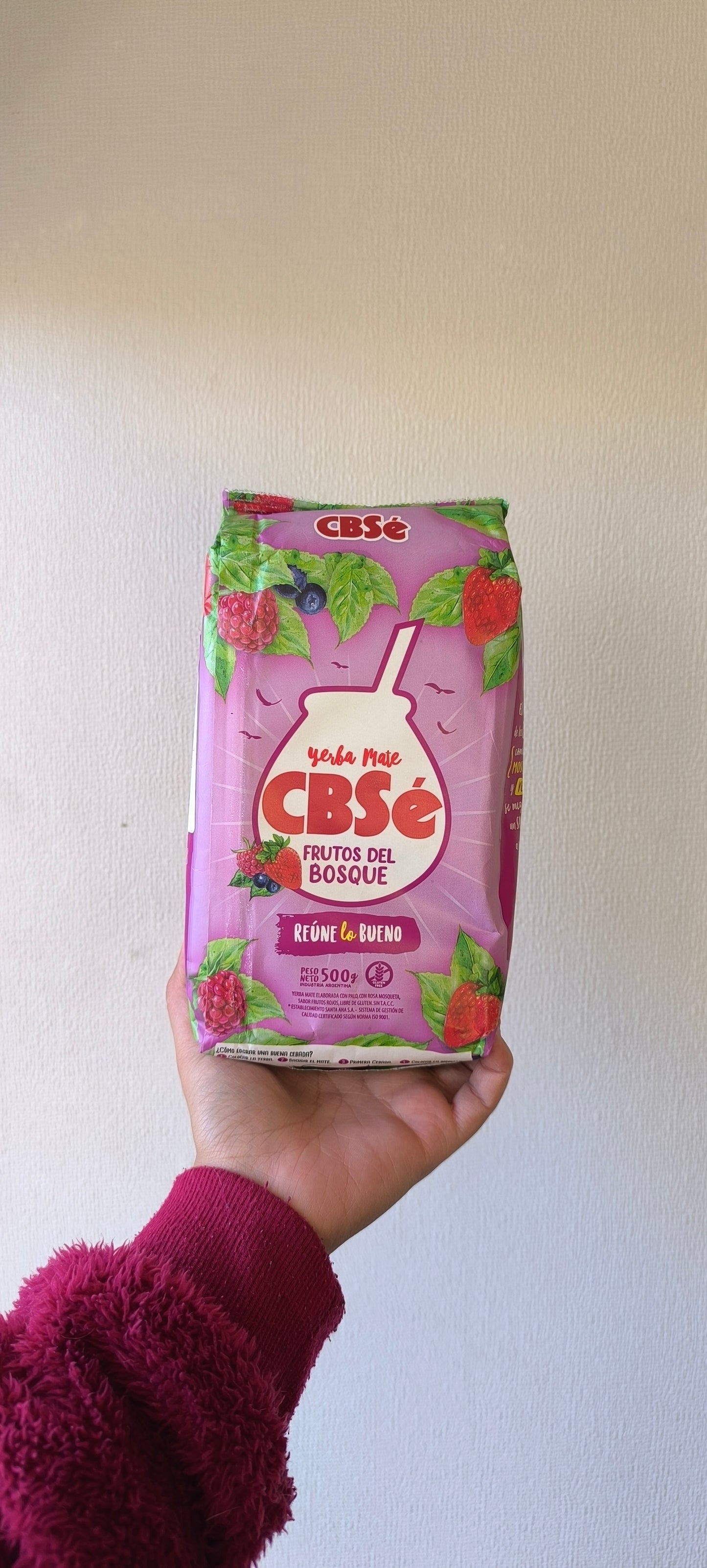 Yerba mate CBS'e
