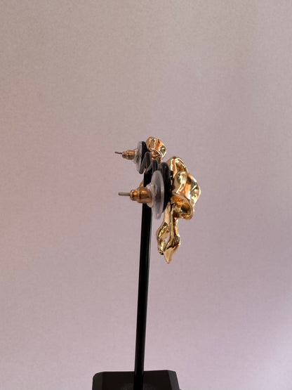 Aros lazo