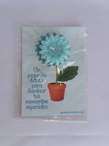 Vela florcita petit
