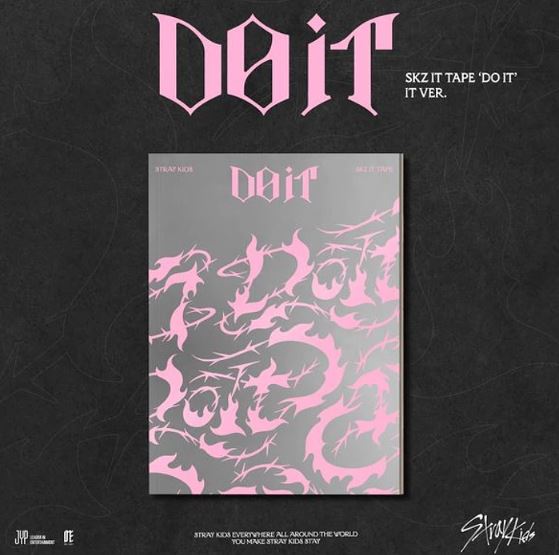 STRAY KIDS DO IT IT VERSION